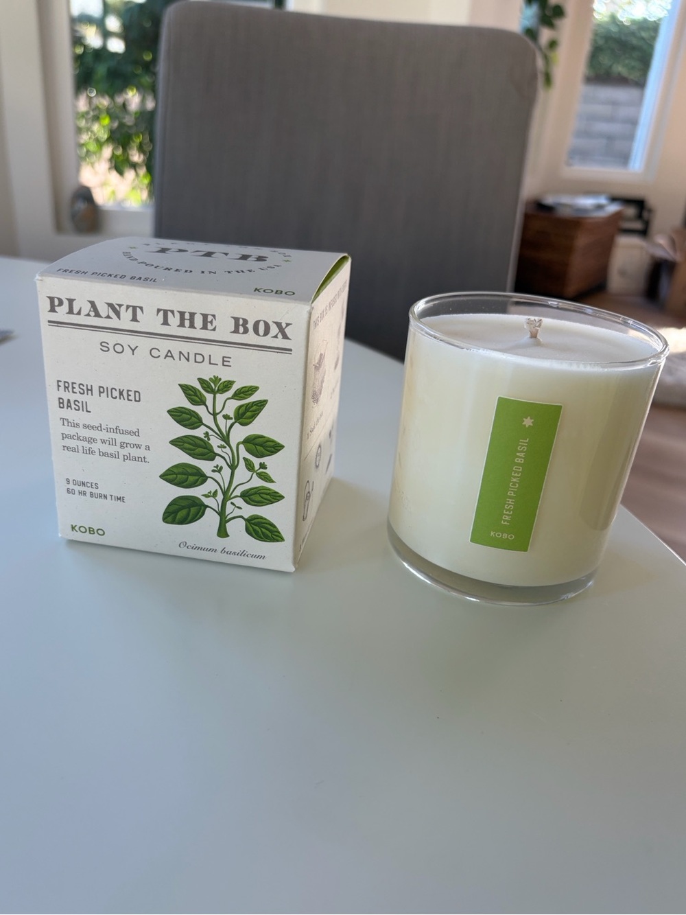 Basil Plant the Box Soy Candle 9 oz - Picture 13 of 13